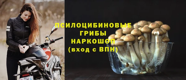 сатива Арсеньев