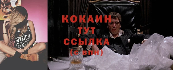 сатива Арсеньев