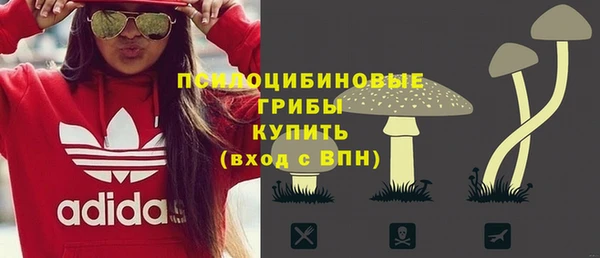 сатива Арсеньев