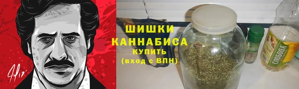 сатива Арсеньев