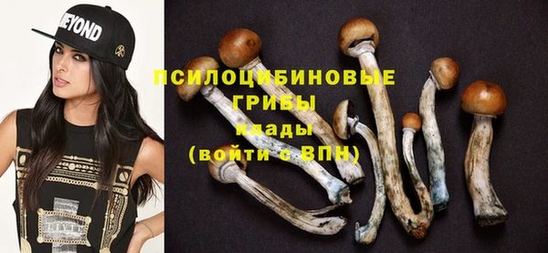 ПСИЛОЦИБИНОВЫЕ ГРИБЫ Армянск