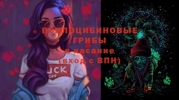 ПСИЛОЦИБИНОВЫЕ ГРИБЫ Армянск