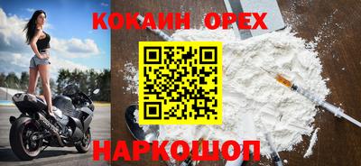 jwh Кингисепп