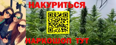 дмт Кимры
