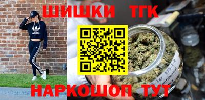 jwh Кингисепп