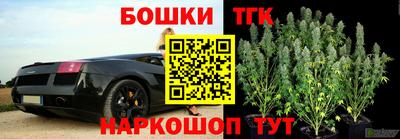 jwh Кингисепп