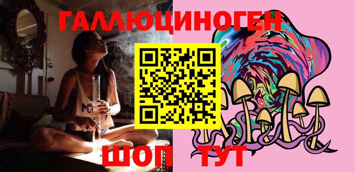 Псилоцибиновые грибы мицелий Ессентуки